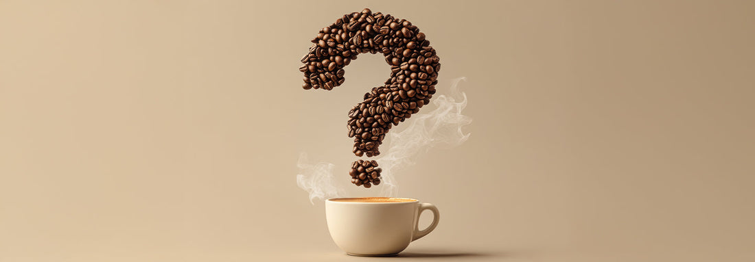 Quiz: What’s Your Ristavo Personality Blend?