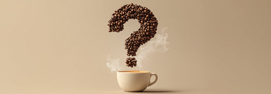 Quiz: What’s Your Ristavo Personality Blend?
